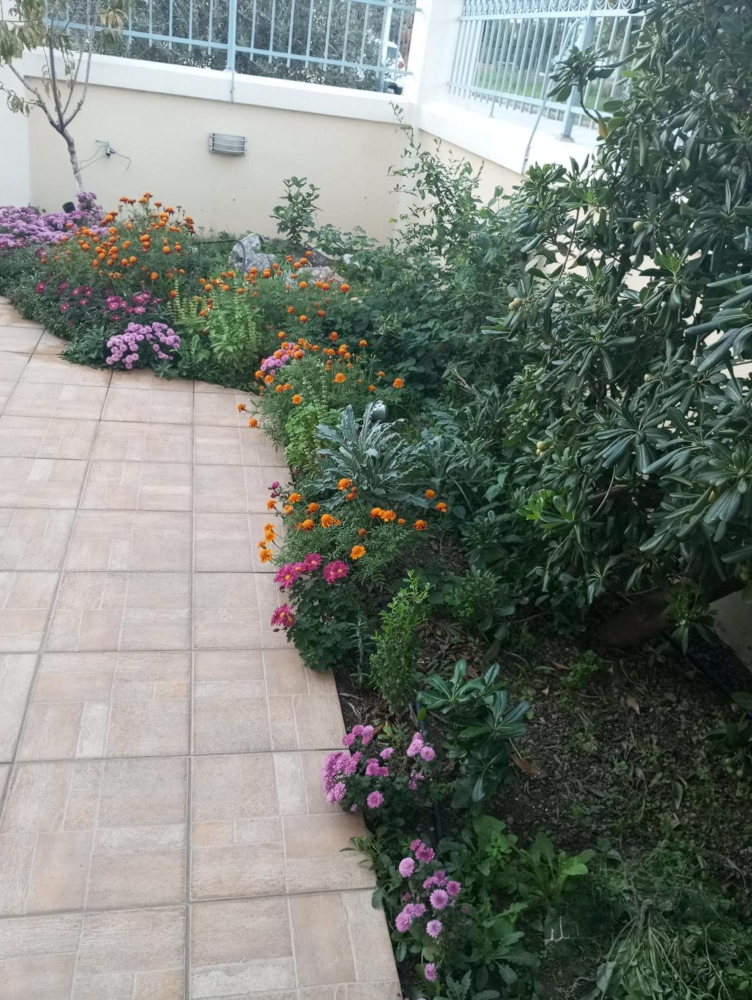 Dora'S Home With Garden ヴォロス エクステリア 写真